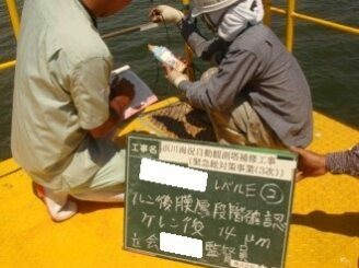 鹿島市 外壁塗装 外装塗装 塗り替え 公共工事 株式会社キス